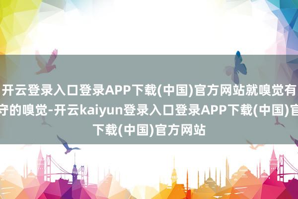 开云登录入口登录APP下载(中国)官方网站就嗅觉有着偏保守的嗅觉-开云kaiyun登录入口登录APP下载(中国)官方网站