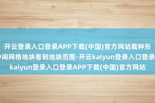 开云登录入口登录APP下载(中国)官方网站栽种形式的运转气象不错从中间网格地块看到地块范围-开云kaiyun登录入口登录APP下载(中国)官方网站